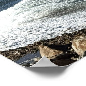 Rhode Island Ocean Waterscape Poster (Coin)