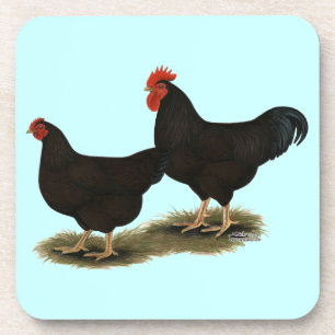Rhode Island Red Bantams Drankjes Onderzetter