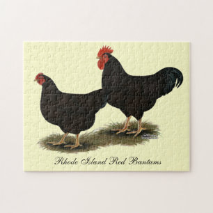 Rhode Island Red Bantams Legpuzzel