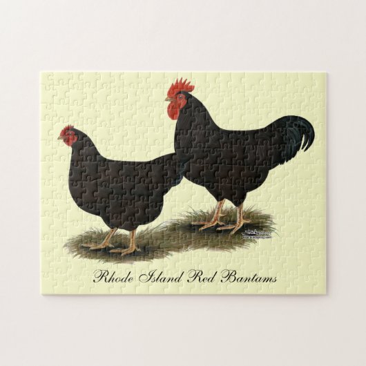 Rhode Island Red Bantams Legpuzzel (Horizontaal)