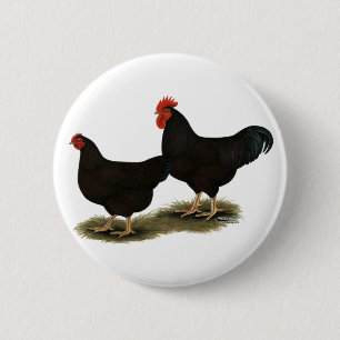 Rhode Island Red Bantams Ronde Button 5,7 Cm