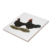 Rhode Island Red Bantams Tegeltje (Zijkant)