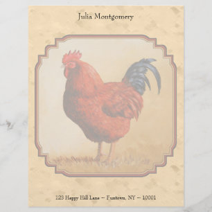 Rhode Island Red Chicken Beige Briefhoofd Sjabloon