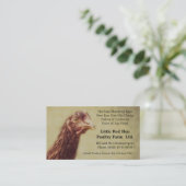 Rhode Island Red Chicken Pullet - Poultry Farmer Visitekaartje (Staand voorkant)