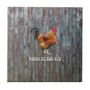 Rhode Island Red Chicken Tegeltje