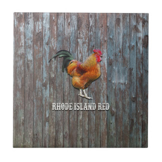 Rhode Island Red Chicken Tegeltje