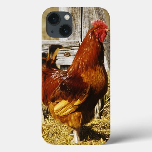 Rhode Island Red haan Case-Mate iPhone Case (Achterkant)