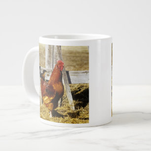 Rhode Island Red haan Extra Grote Beker