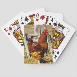 Rhode Island Red haan Pokerkaarten