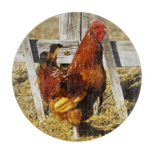 Rhode Island Red haan Snijplank