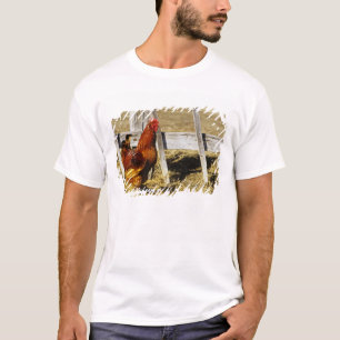 Rhode Island Red haan T-shirt