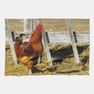 Rhode Island Red Haan Theedoek