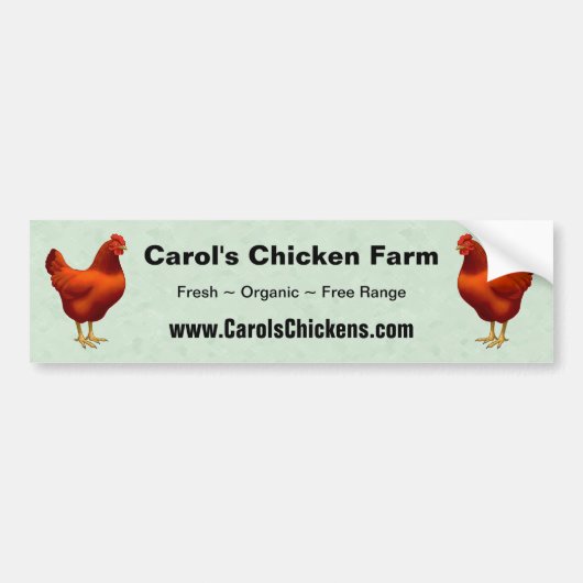 Rhode Island Red Hen Bumpersticker (Voorkant)