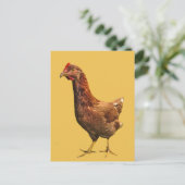 Rhode Island Red Hen Chicken Briefkaart (Staand voorkant)