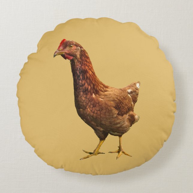 Rhode Island Red Hen Chicken Coussin rond (Devant)