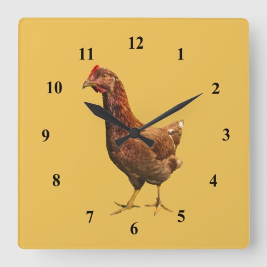 Rhode Island Red Hen Chicken Wall klok (Voorkant)