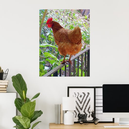 Rhode Island Red Hen Poster (Thuiskantoor)