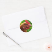 Rhode Island Red Hen Ronde Sticker (Envelop)