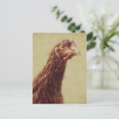 Rhode Island Red Pullet - Chicken Afbeelding Briefkaart (Staand voorkant)