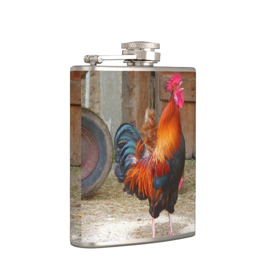 Rhode Island Red Rooster Crowing in Barnyard Heupfles (Rechts)