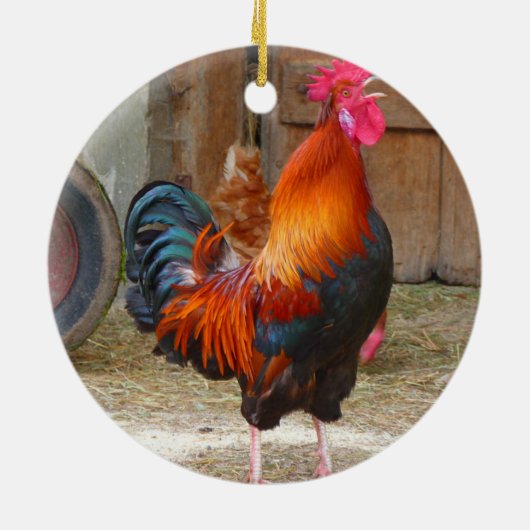 Rhode Island Red Rooster Crowing in Barnyard Keramisch Ornament (Achterkant)