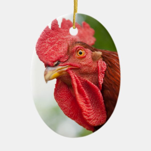 Rhode Island Red Rooster Keramisch Ornament (Voorkant)