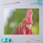 Rhode Island Red Rooster Tissuepapier (Craft)