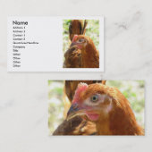 Rhode Island Red Visitekaartje (Voorkant / Achterkant)