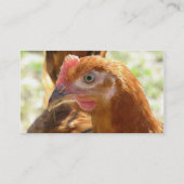 Rhode Island Red Visitekaartje (Achterkant)
