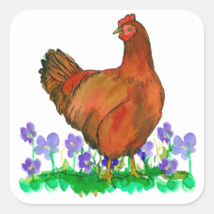 Rhode Island Rode Kip Waterverf Violets Vierkante Sticker