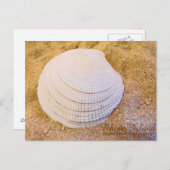 Rhode Island State shell Briefkaart (Voorkant / Achterkant)