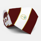 Rhode Island strepenvlag Stropdas (Opgerold)