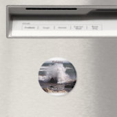 Rhode Island, Weekapaug Magneet (Insitu (Vaatwasser))