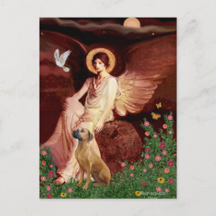 Rhodeis Ridgebak 2 - Seed Angel Briefkaart