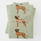 Rhodesian Ridgeback Afrikaanse Leeuw Hond Patroon  Inpakpapier Vel (In situ)