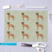 Rhodesian Ridgeback Afrikaanse Leeuw Hond Patroon Tissuepapier (Craft)