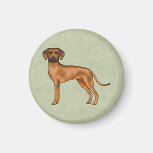 Rhodesian Ridgeback Afrikaanse Leeuw Hond Rassen G Magneet