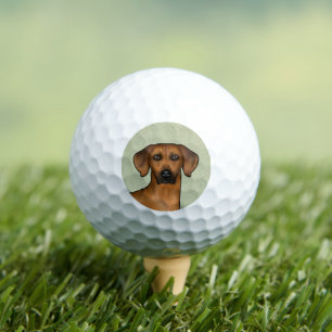 Rhodesian Ridgeback Afrikaanse Leeuwshond Kop Groe Golfballen