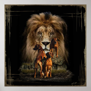 Rhodesian Ridgeback avec Poster Lion