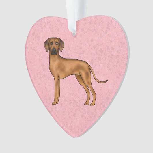Rhodesian Ridgeback Bruine Afrikaanse Leeuw Hond R Ornament (voorkant)