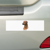 Rhodesian Ridgeback Bumpersticker (Op auto)
