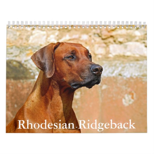 Rhodesian Ridgeback Calendar Kalender (Hoes)