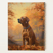 Rhodesian Ridgeback dans les feuilles d'automne to (Dos)
