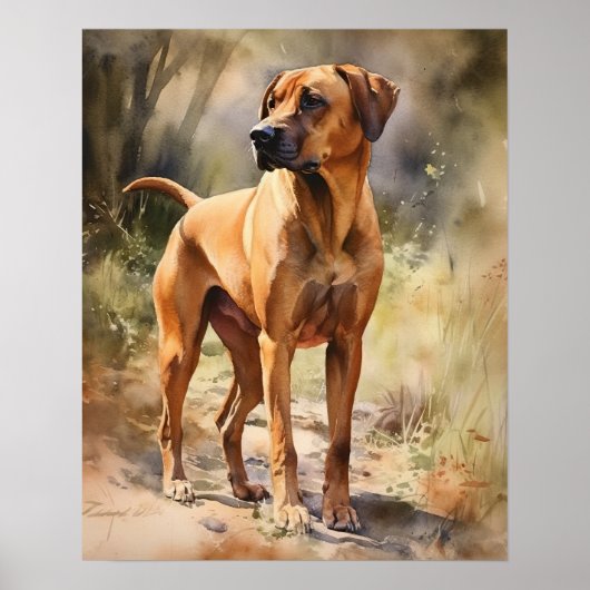 Rhodesian Ridgeback Dog Art Print Poster (Voorkant)
