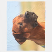 RHODESIAN RIDGEBACK FLEECE DEKEN (Voorkant)