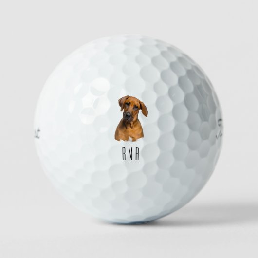 Rhodesian Ridgeback Golfballen (Voorkant)