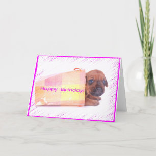 Rhodesian Ridgeback HAPPY BIRTHDAY Wenskaart Kaart