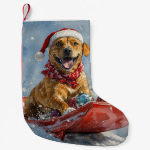 Rhodesian Ridgeback Hond in Sledge Kerstmis Kleine Kerstsok