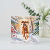 Rhodesian Ridgeback Hond In Sneeuw Vrolijk Kerstfe Feestdagenkaart (Staand voorkant)