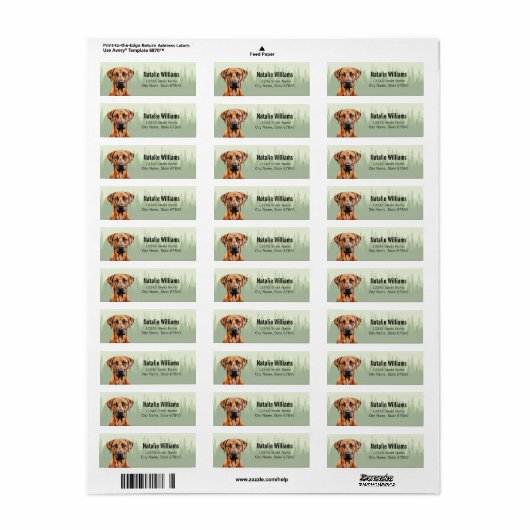 Rhodesian Ridgeback hond retour adres labels (Full Sheet)